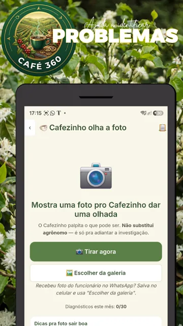 Café 360 — 6